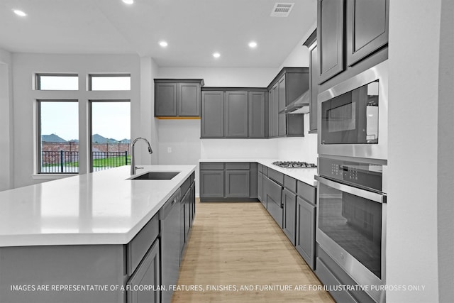 2908 Apple Rose Ln, Katy, TX 77493 - kitchen with stainless steel appliances, a sink, recessed lighting, light wood-type flooring, and a kitchen island with sink