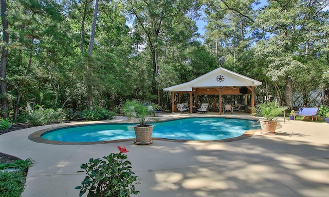 20103 Diamond Ct, Magnolia, TX 77355 - outdoor pool with a gazebo and a patio area