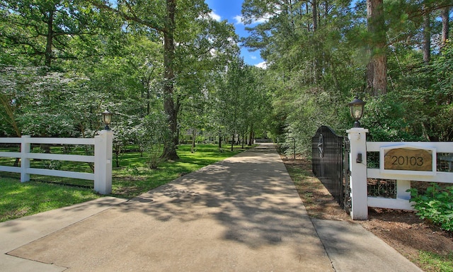 20103 Diamond Ct, Magnolia, TX 77355 - view of concrete driveway with street lighting