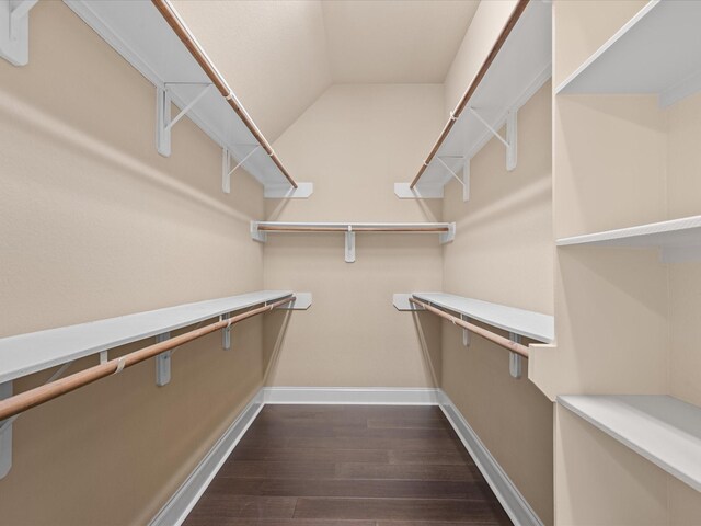 4410 Cobalt Cross St, Katy, TX 77493 - spacious closet with dark wood-style flooring