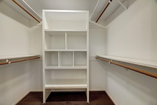 spacious closet featuring wood finished floors