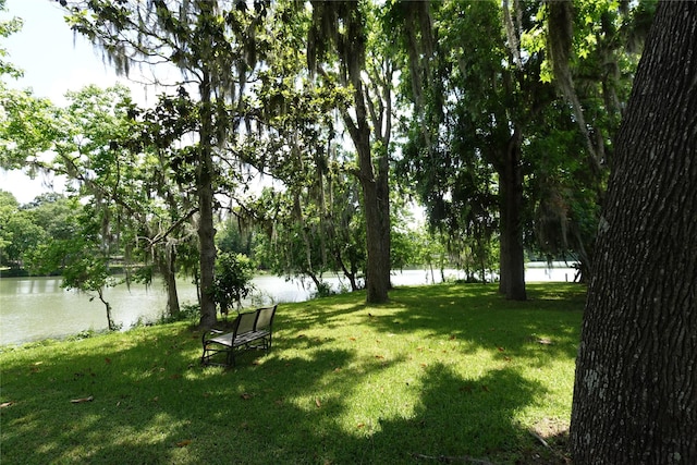 215 Weldon, Livingston, TX 77351 - view of green lawn featuring a water view