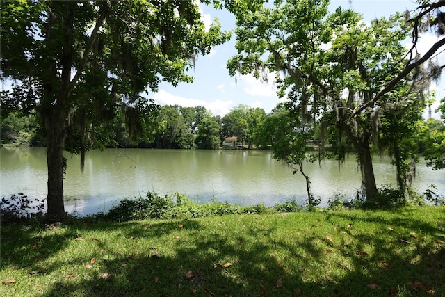 215 Weldon, Livingston, TX 77351 - water view