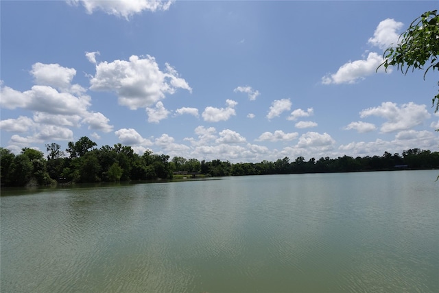 215 Weldon, Livingston, TX 77351 - water view