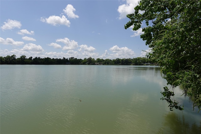 215 Weldon, Livingston, TX 77351 - water view