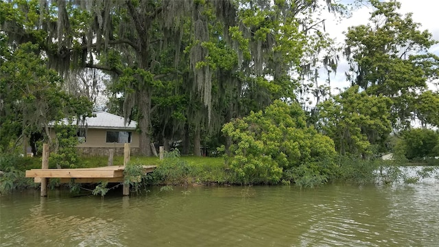 215 Weldon, Livingston, TX 77351 - dock featuring a water view