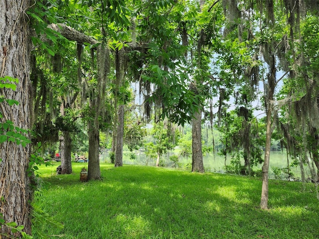 215 Weldon, Livingston, TX 77351 - view of grassy yard