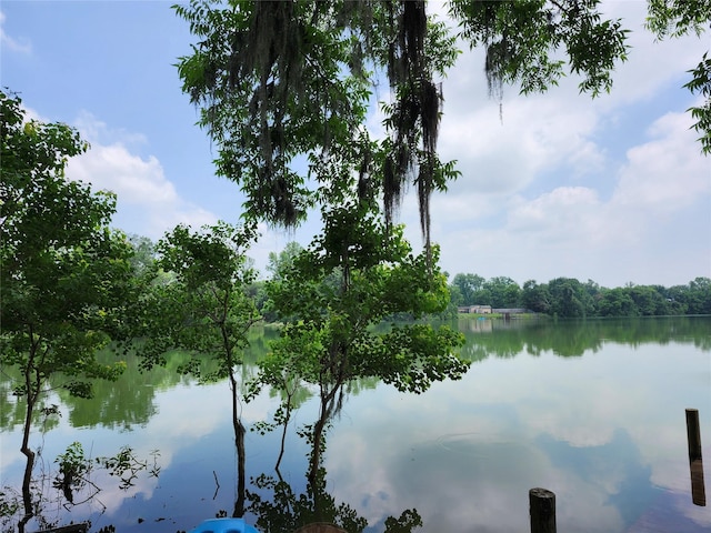 215 Weldon, Livingston, TX 77351 - water view