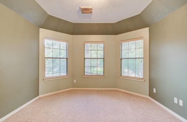 10711 Sea Myrtle Dr, Houston, TX 77095 - spare room featuring carpet flooring, healthy amount of natural light, baseboards, and a textured ceiling