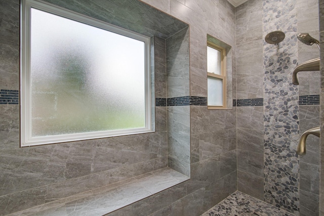 2616 Ryder Ct, League City, TX 77573 - bathroom featuring tiled shower