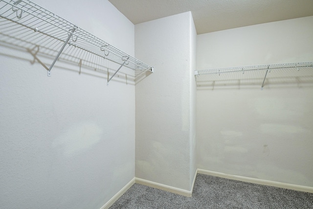 15522 Noble Brook Ct, Houston, TX 77049 - spacious closet featuring carpet floors