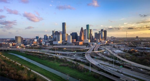 3019 Jensen Springs Ln, Houston, TX 77026 - view of city