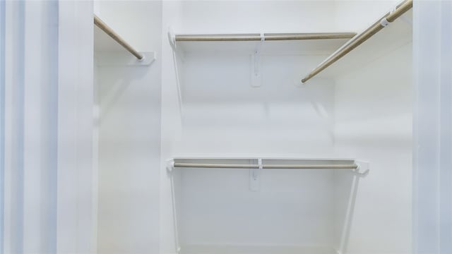 3019 Jensen Springs Ln, Houston, TX 77026 - view of spacious closet