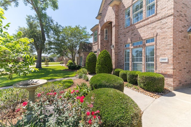 208 Canyon Oak Dr, Lake Jackson, TX 77566 - view of green lawn