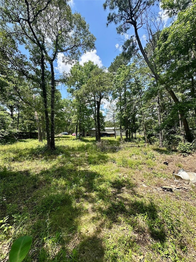 11220 Creek Meadow Dr, Willis, TX 77378