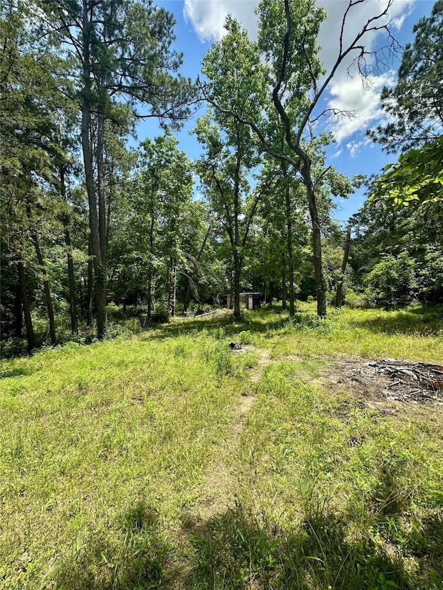 11220 Creek Meadow Dr, Willis, TX 77378