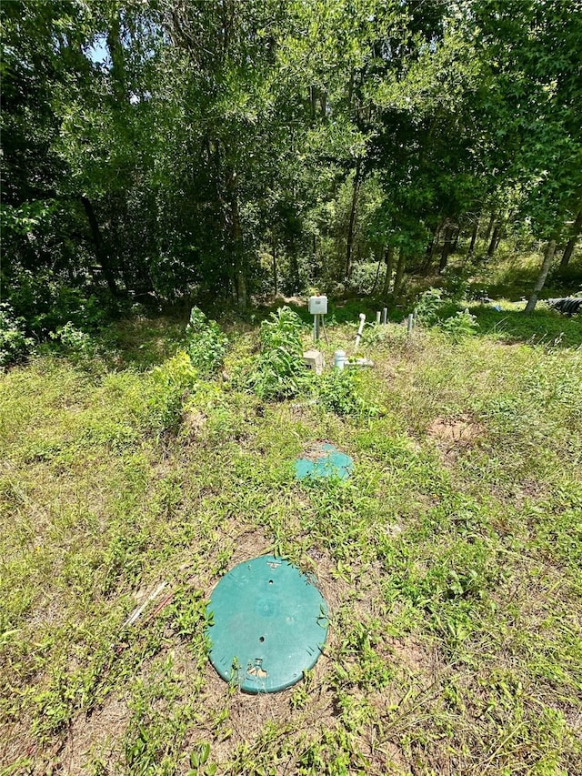 11220 Creek Meadow Dr, Willis, TX 77378
