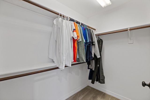 13911 Falcon Heights Dr, Cypress, TX 77429 - walk in closet featuring carpet flooring