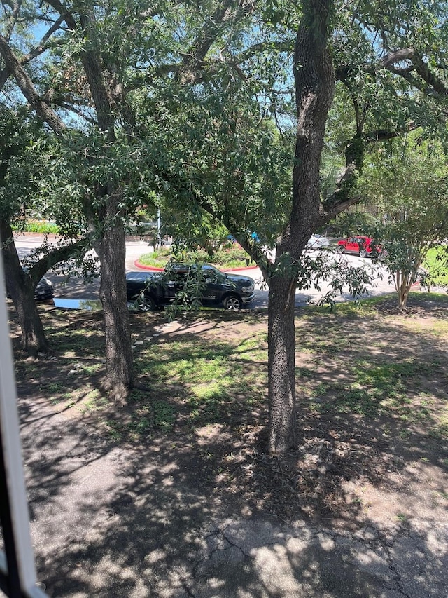 5207 Arboles Dr Unit 3, Houston, TX 77035 - view of yard