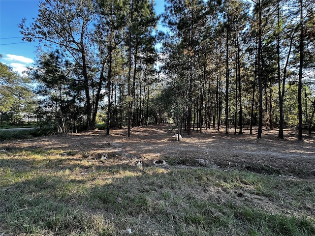 27086 Royal Coach Ln, New Caney, TX 77357