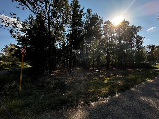 27086 Royal Coach Ln, New Caney, TX 77357
