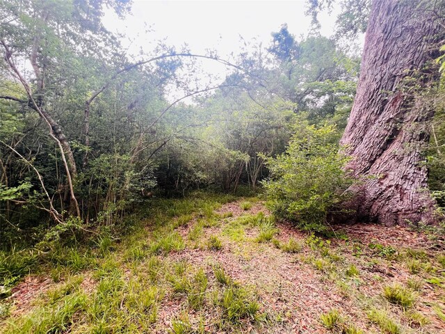 4494 County Road 611, Angleton, TX 77515 - photo 8