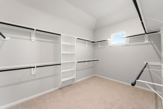 11909 Eastgrove Park Way, Houston, TX 77051 - spacious closet with light carpet