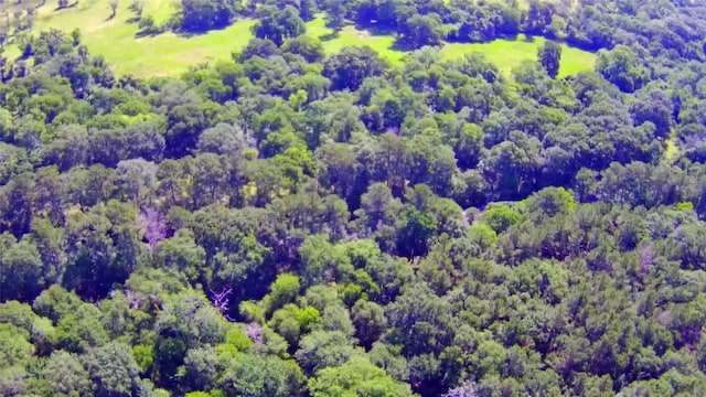 6493 Planters Row Ln, Plantersville, TX 77363 - photo 13