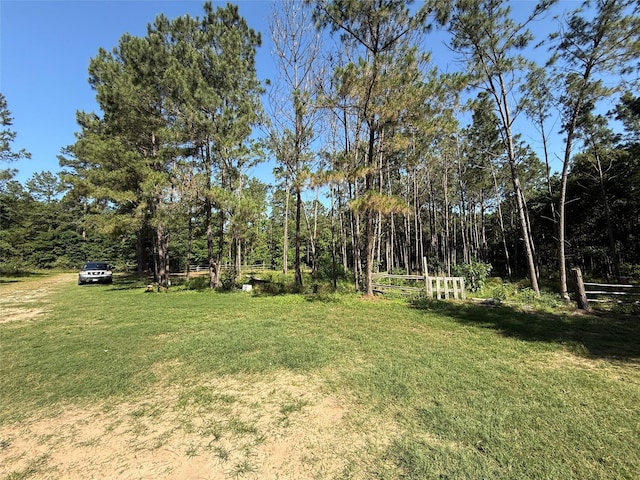 6493 Planters Row Ln, Plantersville, TX 77363 - photo 2
