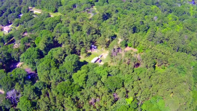 6493 Planters Row Ln, Plantersville, TX 77363 - photo 12
