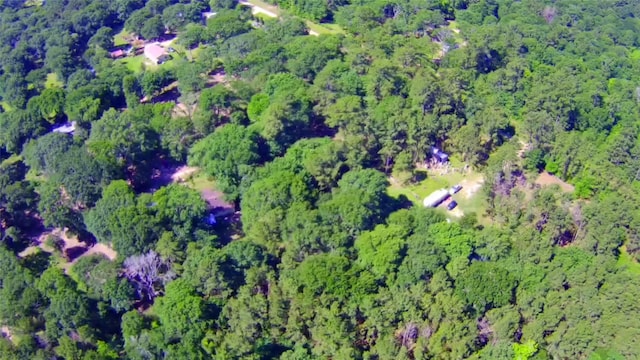 6493 Planters Row Ln, Plantersville, TX 77363 - photo 14