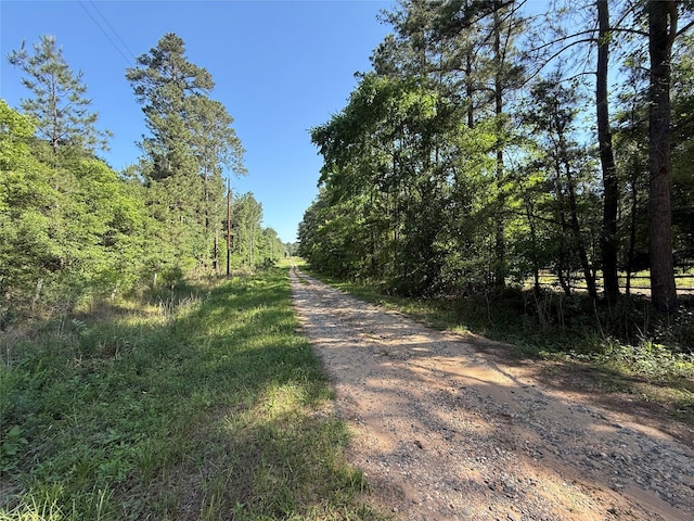 6493 Planters Row Ln, Plantersville, TX 77363 - photo 10