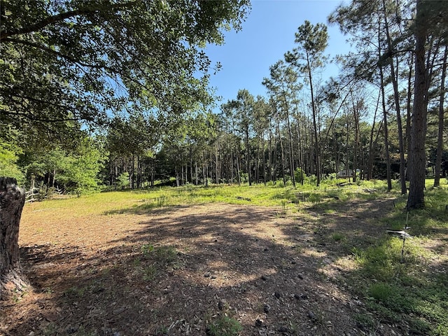 6493 Planters Row Ln, Plantersville, TX 77363 - photo 3