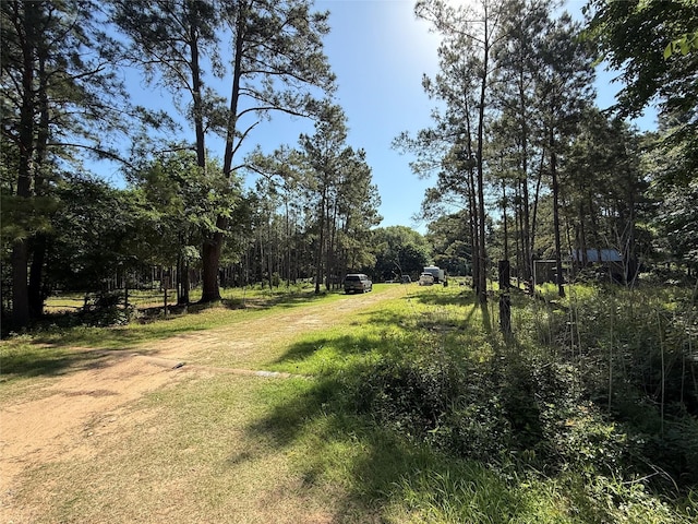 6493 Planters Row Ln, Plantersville, TX 77363 - photo 1