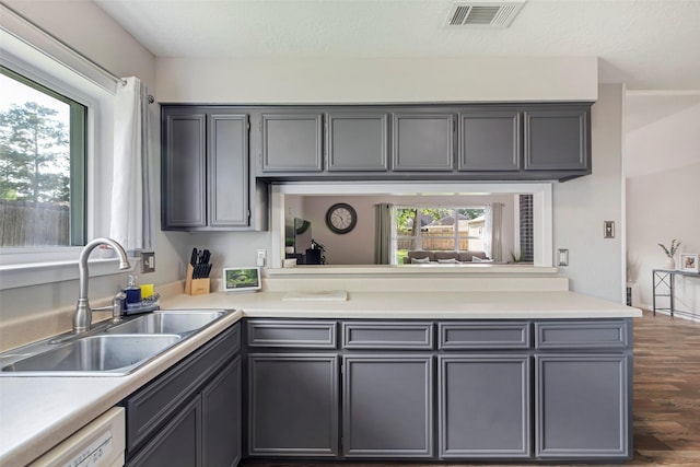 710 Razee Ct, Crosby, TX 77532 - kitchen with a sink, gray cabinetry, dishwasher, and healthy amount of natural light