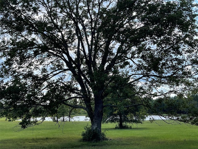 15529 Republic Park Trl, Willis, TX 77378