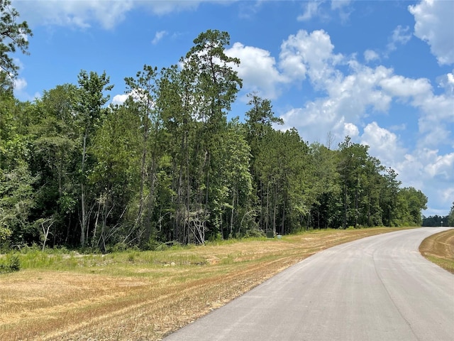 15529 Republic Park Trl, Willis, TX 77378