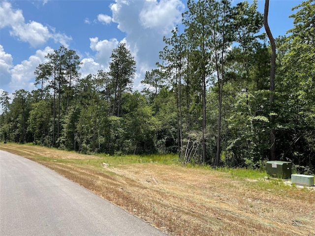 15529 Republic Park Trl, Willis, TX 77378