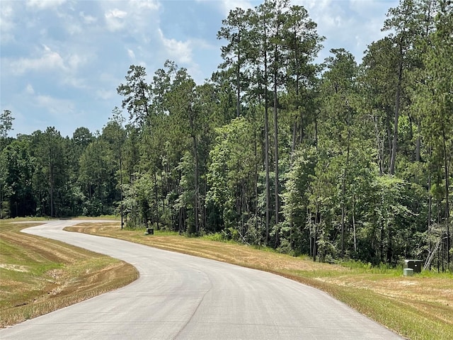 15529 Republic Park Trl, Willis, TX 77378