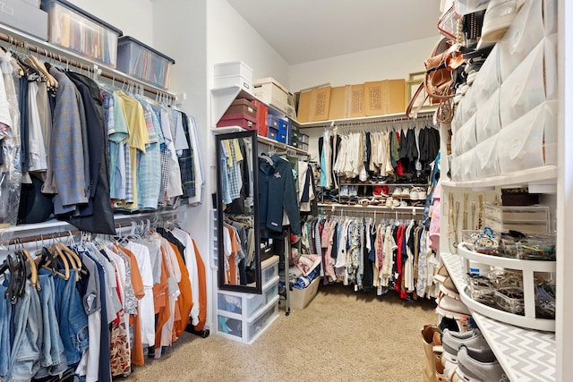 5131 Rowley Falls Ln, Sugar Land, TX 77479 - spacious closet with carpet