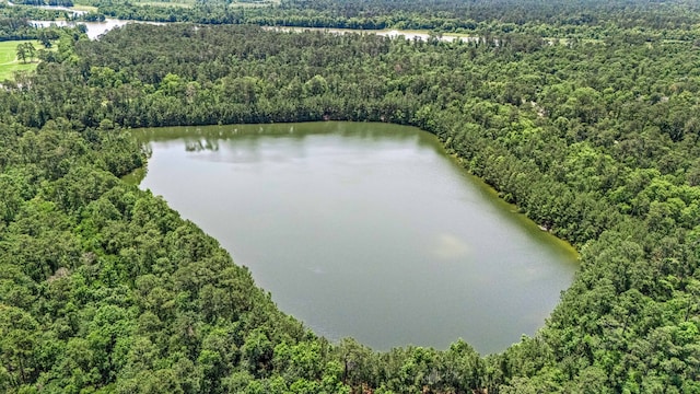 1223 Eversham Way, Kingwood, TX 77339 - aerial view of a forest and a nearby body of water