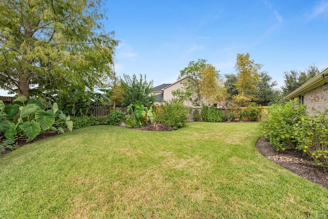 7903 Black Horse Cv, Missouri City, TX 77459 - view of yard
