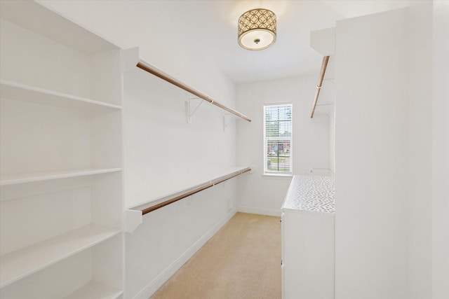 5122 Hidden Brook Ln, League City, TX 77573 - spacious closet with light carpet