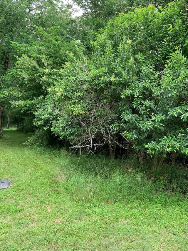 LOT10 Idlewilde Dr, Onalaska, TX 77360