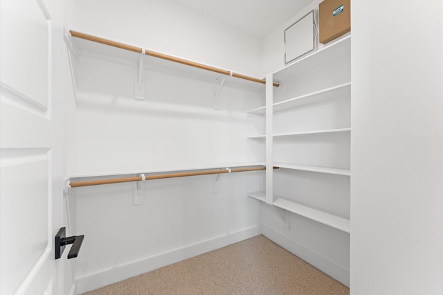 8303 Springwood Creek Ln, Houston, TX 77055 - walk in closet with carpet floors