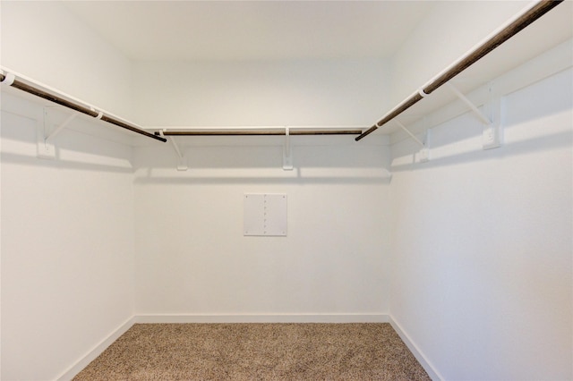 31814 Hallington Hill Ln, Fulshear, TX 77441 - spacious closet featuring carpet