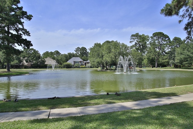 11802 Guernsey Dr, Tomball, TX 77377 - water view