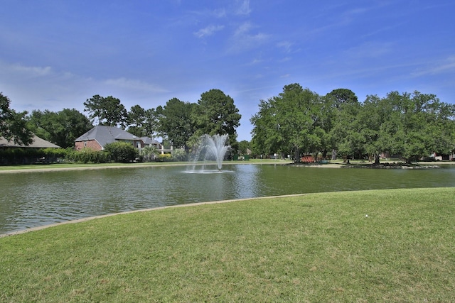 11802 Guernsey Dr, Tomball, TX 77377 - water view