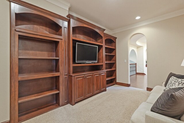 14 Royal King Rd, Tomball, TX 77377 - living area featuring crown molding, arched walkways, light colored carpet, baseboards, and recessed lighting