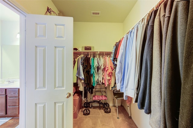 spacious closet with light carpet